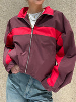 Bomber bicolor