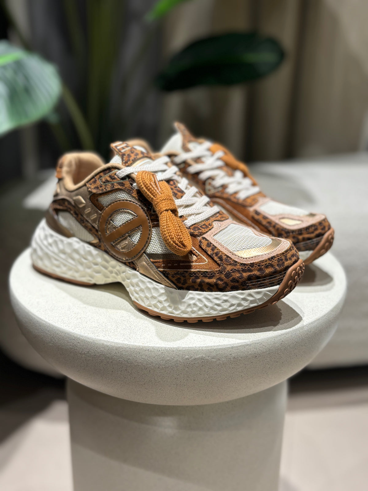 Snakers carter 2.0