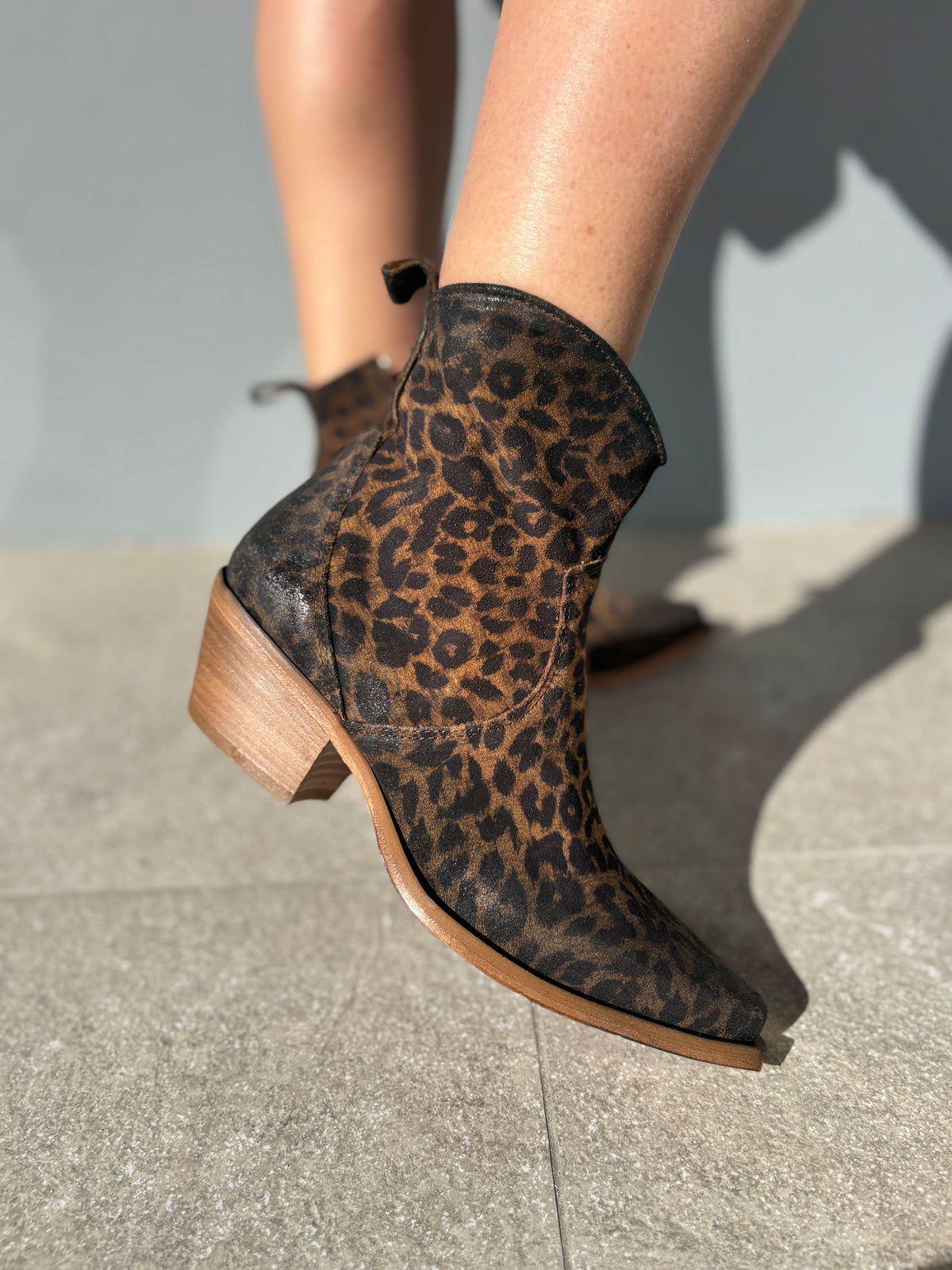 Texano basso maculato