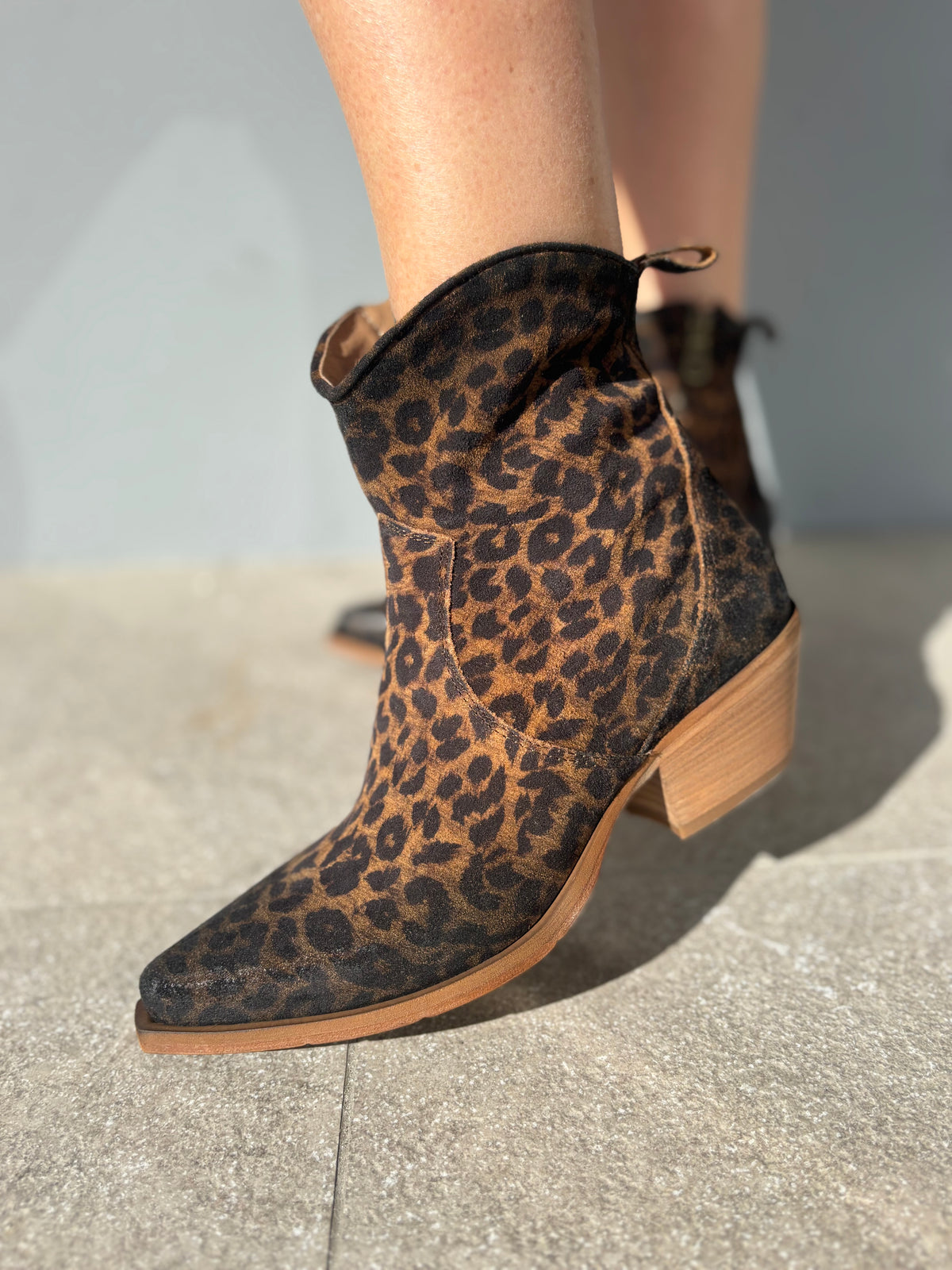 Texano basso maculato