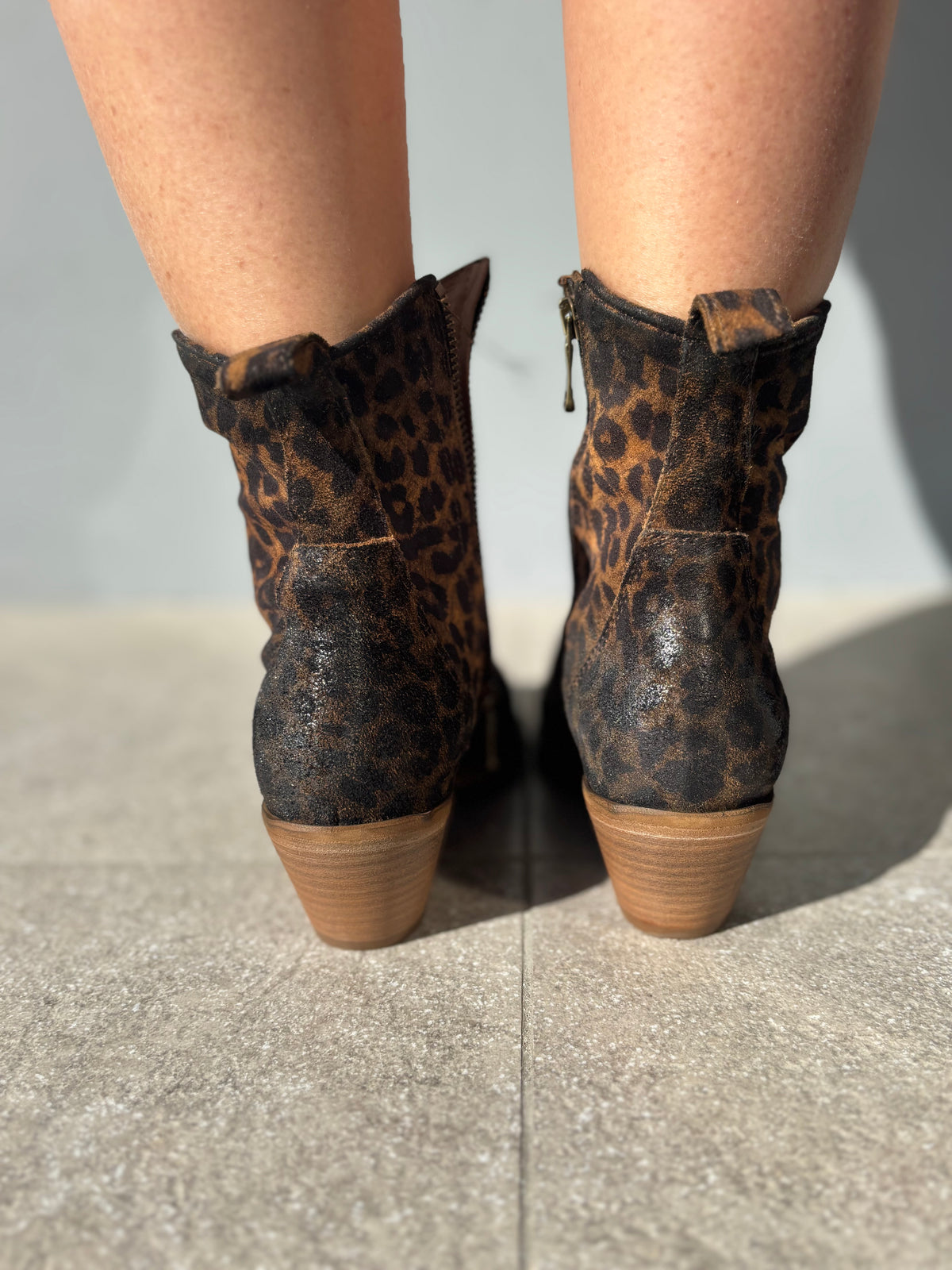 Texano basso maculato